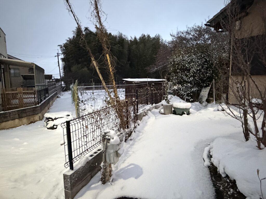 大雪